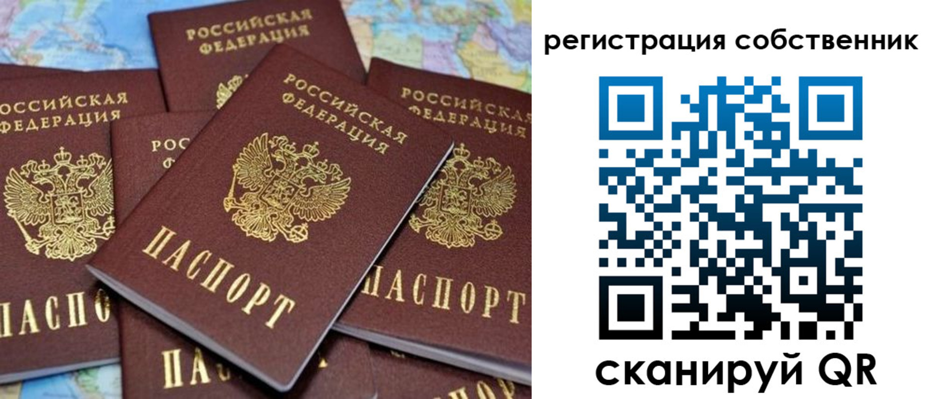 временная регистрация адрес в Мончегорске
