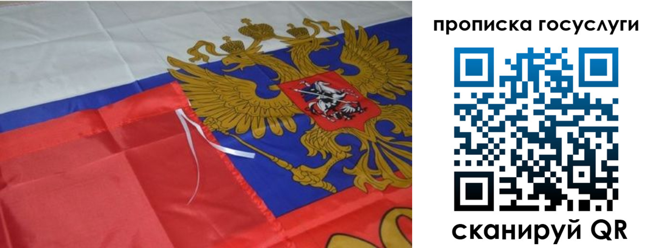 временная прописка в Мончегорске