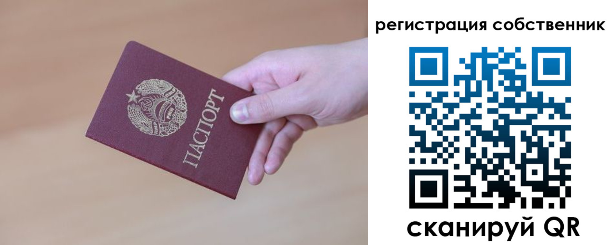 временная регистрация гарантия в Мончегорске
